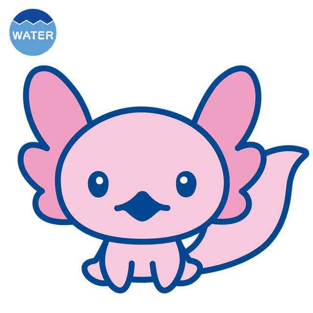 あほろぱっち